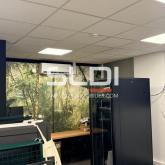 Locaux d'activités A LOUER - LYON - 335 m² Locaux d'activités A LOUER - LYON - 335 m²