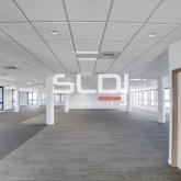 Bureaux A LOUER - VILLEURBANNE - 5 714 m²