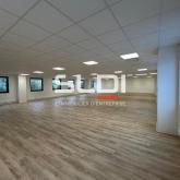 Bureaux A LOUER - LIMONEST - 2 078 m²