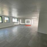 Activités A LOUER - VENISSIEUX - 266 m²