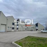 Locaux d'activités A LOUER - GENAS - 244 m²