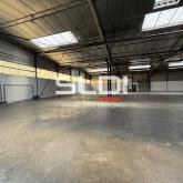 Activités A LOUER - CHAPONOST - 5 262 m²