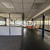 Activités A LOUER - CHAPONOST - 5 262 m²