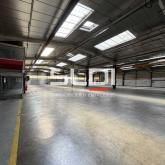 Activités A LOUER - CHAPONOST - 5 262 m²