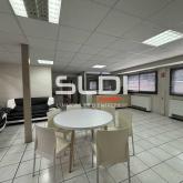Activités A LOUER - CHAPONOST - 5 262 m²