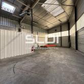 Activités A LOUER - CHAPONOST - 5 262 m²