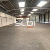 Activités A LOUER - CHAPONOST - 5 262 m²