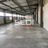 Activités A LOUER - CHAPONOST - 5 262 m²