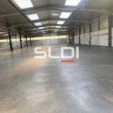 Activités A LOUER - CHAPONOST - 5 262 m²