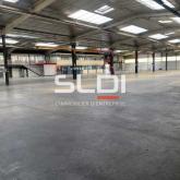 Activités A LOUER - CHAPONOST - 5 262 m²