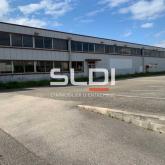 Activités A LOUER - CHAPONOST - 5 262 m²
