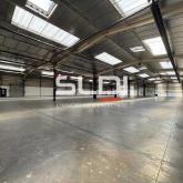 Activités A LOUER - CHAPONOST - 5 262 m²