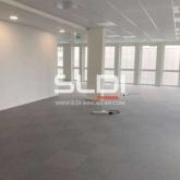 Bureaux A LOUER - DECINES CHARPIEU - 3 746 m²