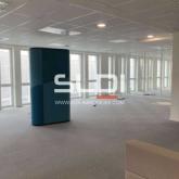 Bureaux A LOUER - DECINES CHARPIEU - 3 746 m²