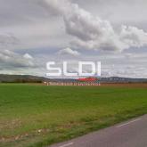 Terrains A VENDRE - SAINT VULBAS - 10 000 m² Terrains A VENDRE - SAINT VULBAS - 10 000 m²