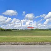 Terrains A VENDRE - SAINT VULBAS - 10 000 m² Terrains A VENDRE - SAINT VULBAS - 10 000 m²