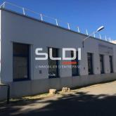 Bureaux A LOUER - VILLEURBANNE - 1 385 m²