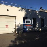 Bureaux A LOUER - VILLEURBANNE - 1 385 m²