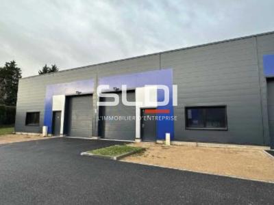 Activités A LOUER - POMMIERS - 295 m²