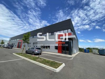 Locaux d'activités A LOUER - DAGNEUX - 1 129 m²