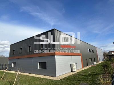 Locaux d'activités A LOUER - GLEIZE - 220 m²