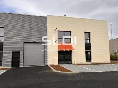 Locaux d'activités A LOUER - SAINT ANDRE DE CORCY - 445 m²