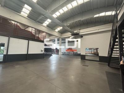 Locaux d'activités A LOUER - GENAY - 331 m²