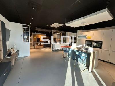 Commerces A VENDRE OU A LOUER - ANSE - 381 m²