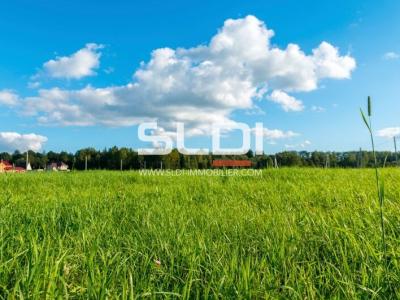 Terrains A VENDRE - LA BOISSE - 6 000 m²