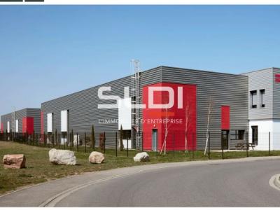 Activités A LOUER - SAINT PRIEST - 598 m²