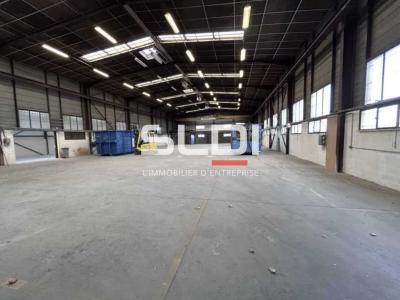 Activités A LOUER - CHASSIEU - 1 250 m²