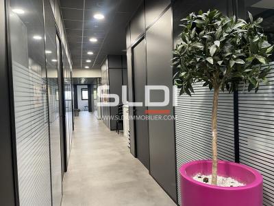 Bureaux A LOUER - CALUIRE ET CUIRE - 899 m²