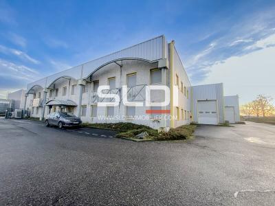 Locaux d'activités A VENDRE OU A LOUER - GENAS - 990 m²