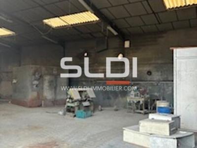 Locaux d'activités A LOUER - FLEURIEU SUR SAONE - 360 m²