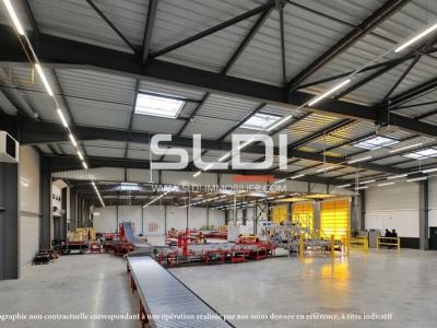 Locaux d'activités A VENDRE - ANSE - 12 000 m²