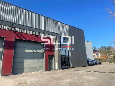 Locaux d'activités A VENDRE - CHAPONOST - 420 m²