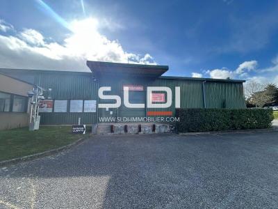 Locaux d'activités A LOUER - CHAMPAGNE AU MONT D'OR - 1 735 m²
