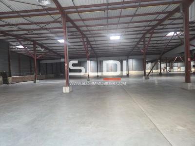 Locaux d'activités A LOUER - SAINT CHAMOND - 8 439 m²