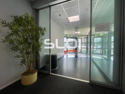 Bureaux A LOUER - ECULLY - 135 m²