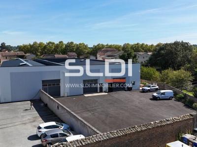 Locaux d'activités A VENDRE - Belleville-en-Beaujolais - 1 587 m²