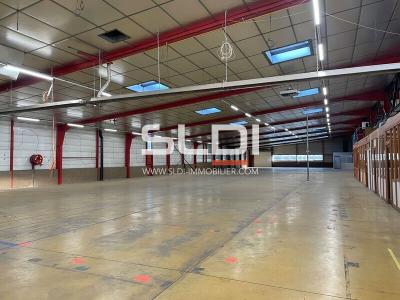 Locaux d'activités A LOUER - RILLIEUX LA PAPE - 3 200 m²