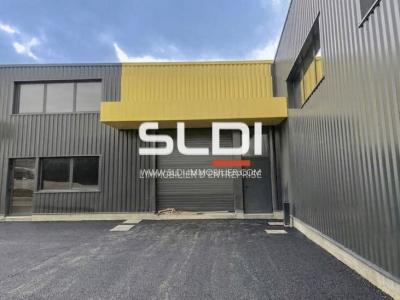 Locaux d'activités A VENDRE - FRANS - 538 m²