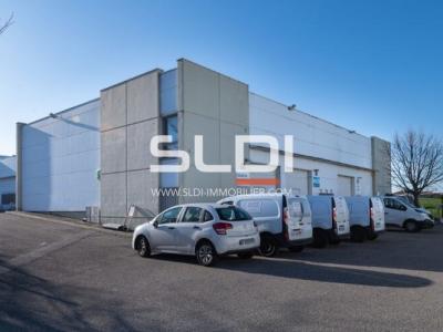 Locaux d'activités A LOUER - RILLIEUX LA PAPE - 118 m²