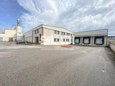 Locaux d'activités A VENDRE OU A LOUER - SAINT GEORGES D'ESPERANCHE - 6 035 m²