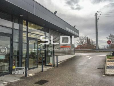 Commerces A LOUER - ANSE - 224 m²