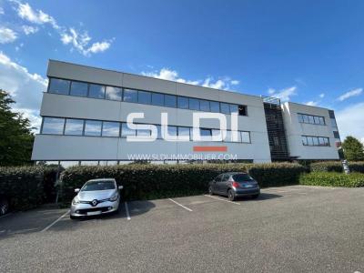 Bureaux A LOUER - DARDILLY - 110 m²