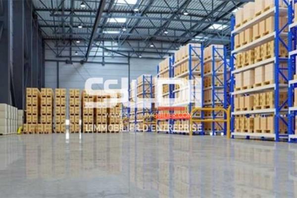 Locaux d'activités A LOUER - CHASSIEU - 5 000 m²