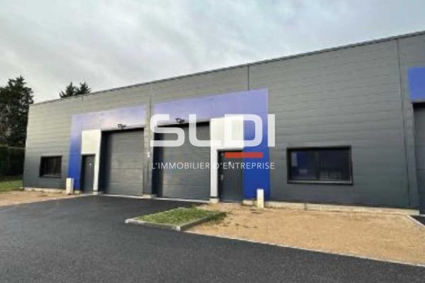 Activités A LOUER - POMMIERS - 295 m²
