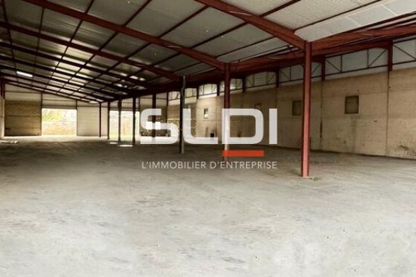 Activités A VENDRE OU A LOUER - Belleville-en-Beaujolais - 1 586 m²