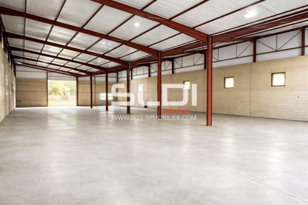 Locaux d'activités A VENDRE OU A LOUER - Belleville-en-Beaujolais - 1 586 m²